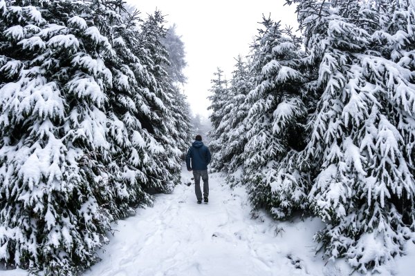 Kurzurlaub Harz: Wochenende in der Region
