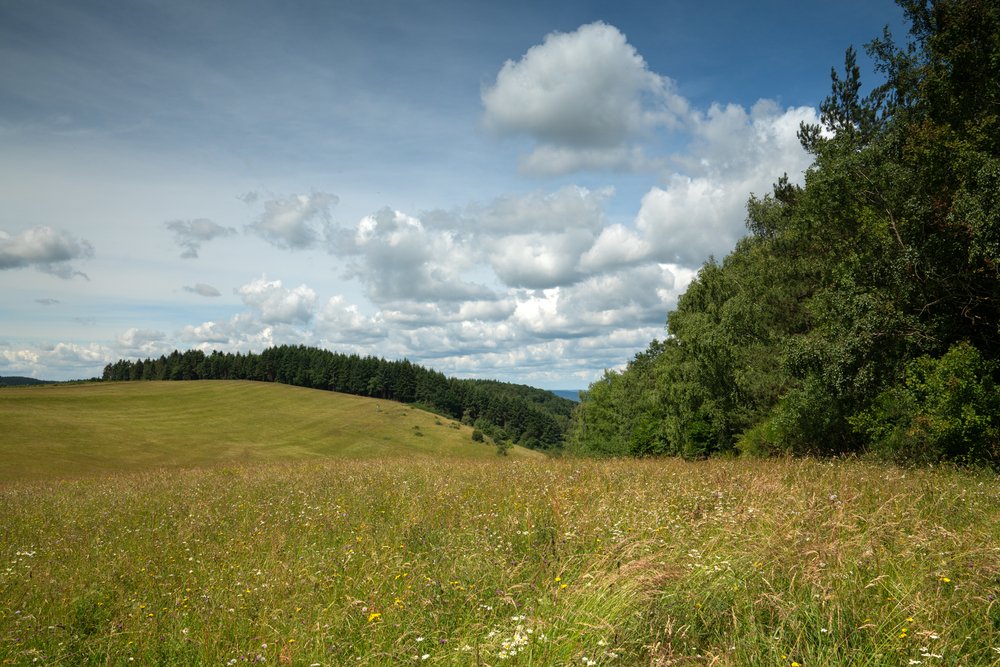 Kurzurlaub Mosel: 3 Tage in der Region – Eindruck 2