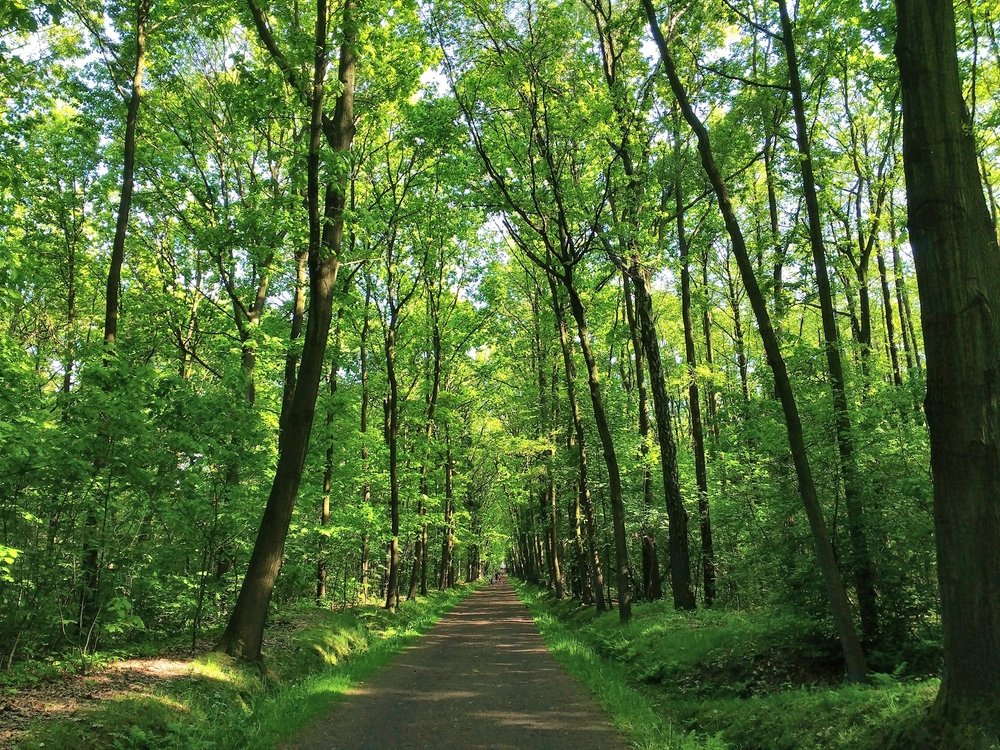 Kurzurlaub in Polen: Highlights und Reisetipps – Eindruck 1